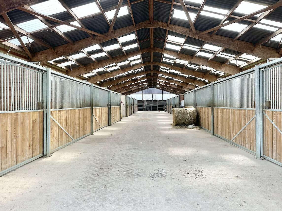 House Le Mans