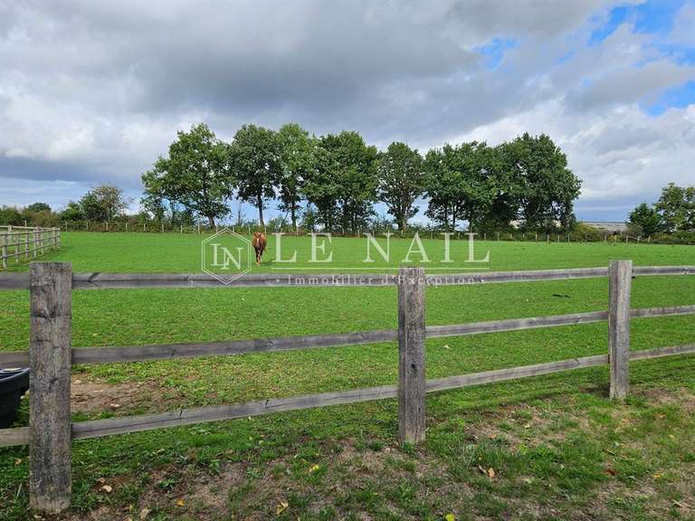 Manoir Le Mans - 4 chambres - 250m²