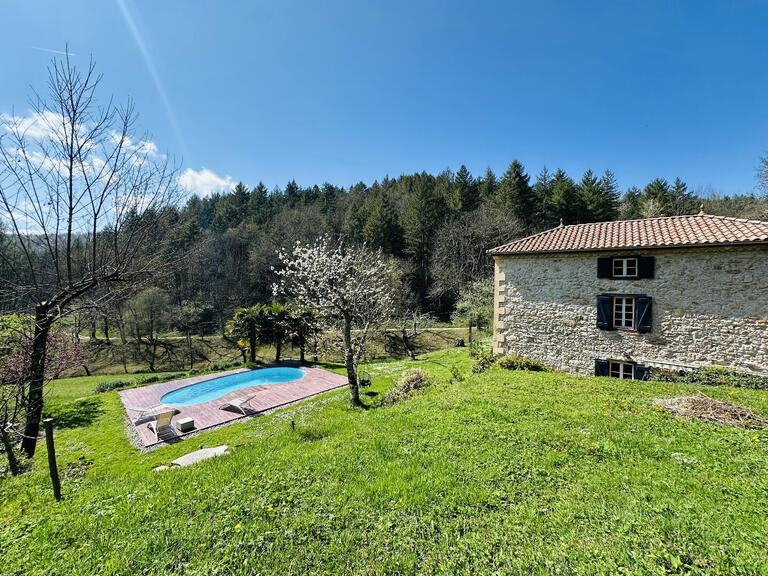 Propriété Le Mas-d'Azil - 5 chambres - 357m²