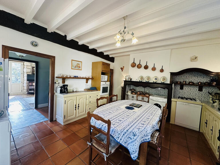 Propriété Le Mas-d'Azil - 5 chambres - 357m²