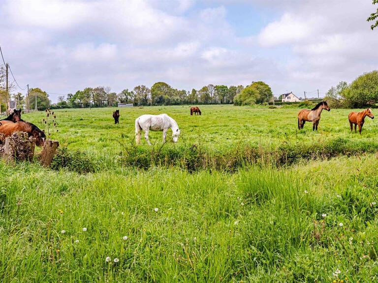 Maison Le Molay-Littry - 4 chambres - 241m²