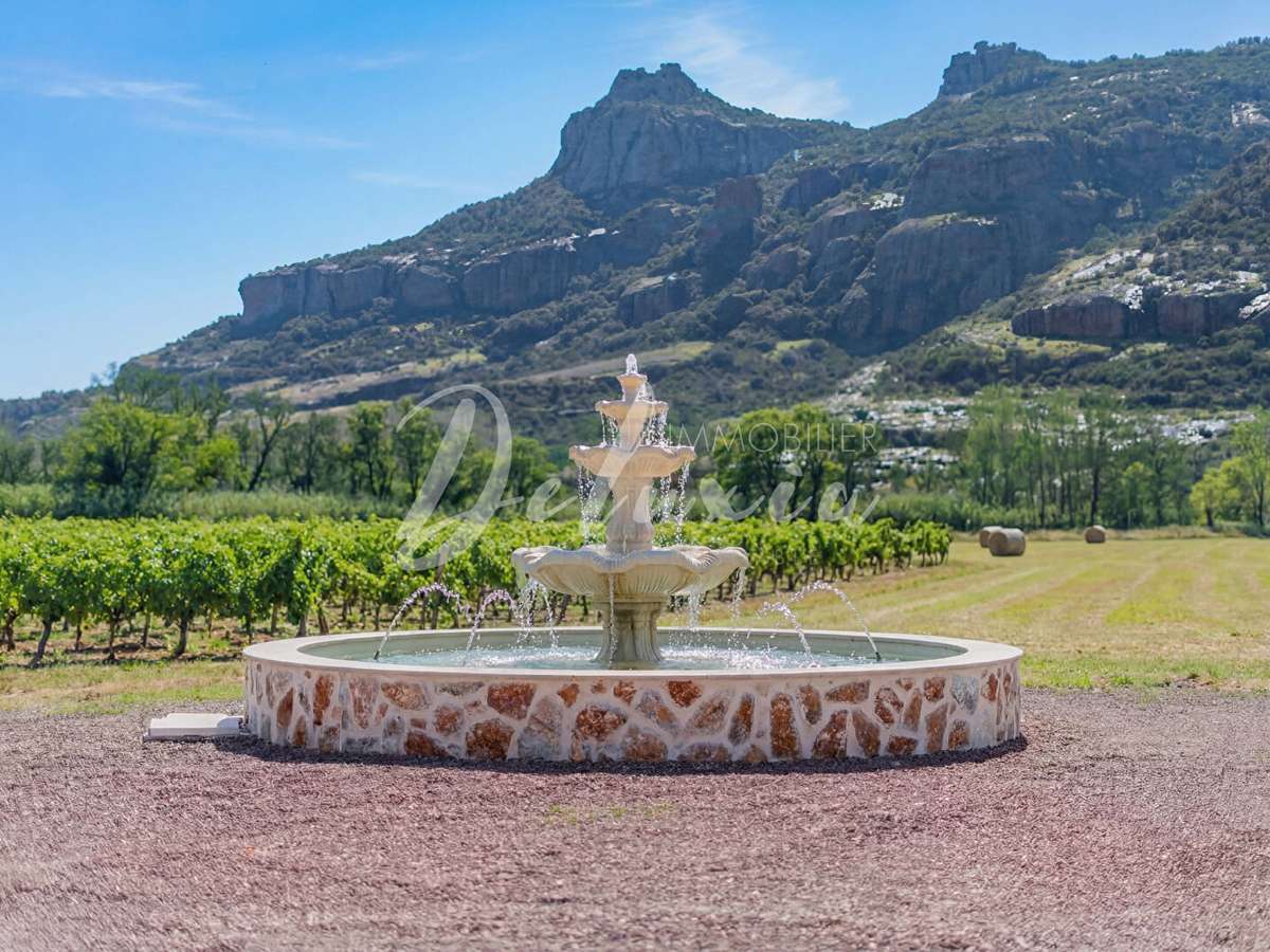 Domaine viticole Le Muy