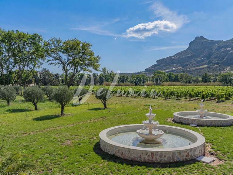 Domaine viticole Le Muy - 10 chambres - 610m²