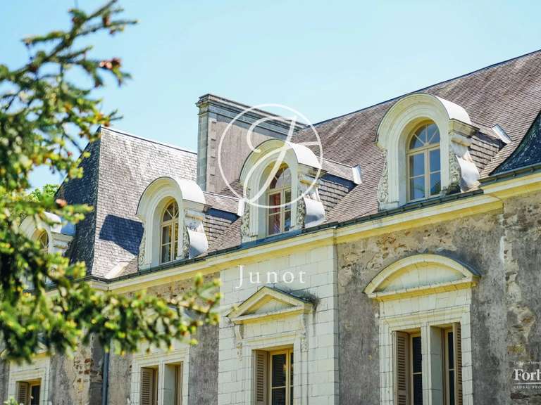 Château Le Pellerin - 10 chambres - 654m²