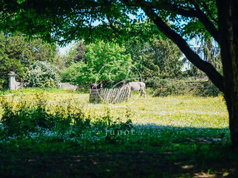 Château Le Pellerin - 10 chambres - 654m²