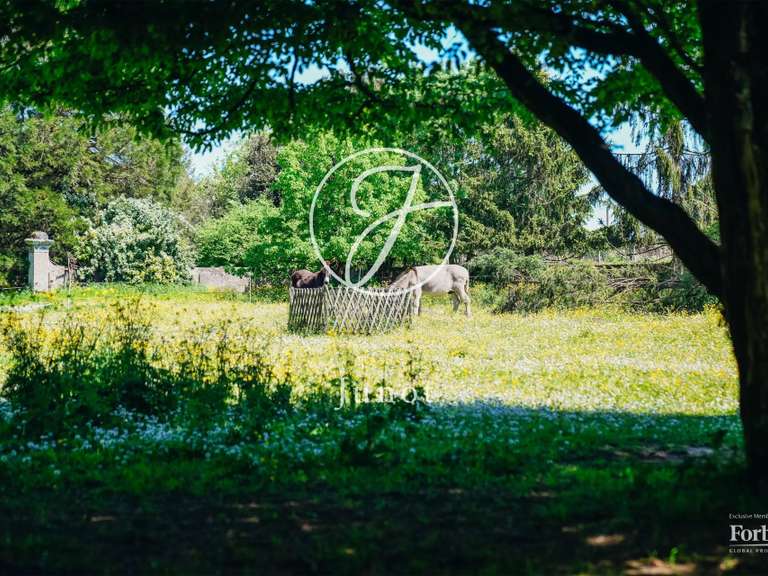 Château Le Pellerin - 10 chambres - 654m²