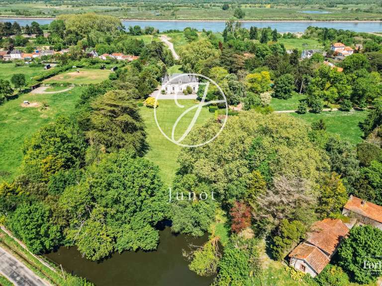 Château Le Pellerin - 10 chambres - 654m²