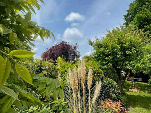 House Le Perreux-sur-Marne - 3 bedrooms