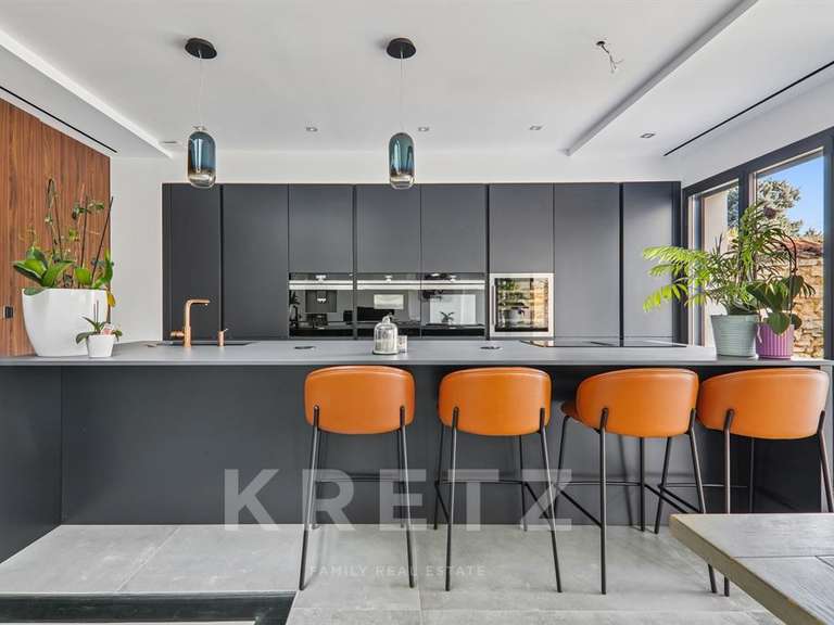 Maison Le Perreux-sur-Marne - 4 chambres - 360m²
