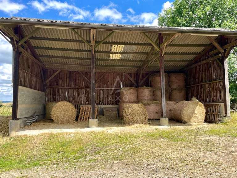 House Le Pin-au-Haras - 3 bedrooms