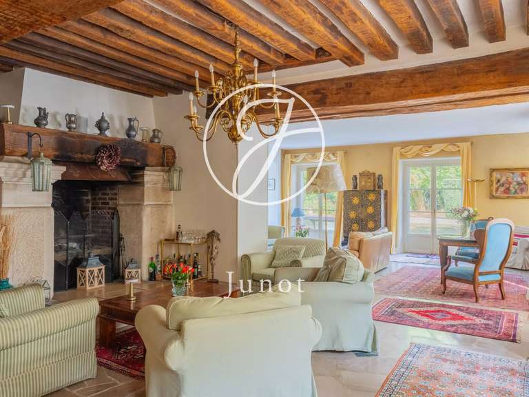 Château Le Plessis-Placy - 6 chambres - 647m²