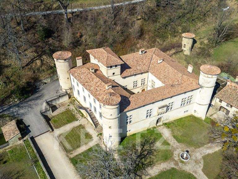 Château Le Poët-Célard - 10 chambres - 1350m²