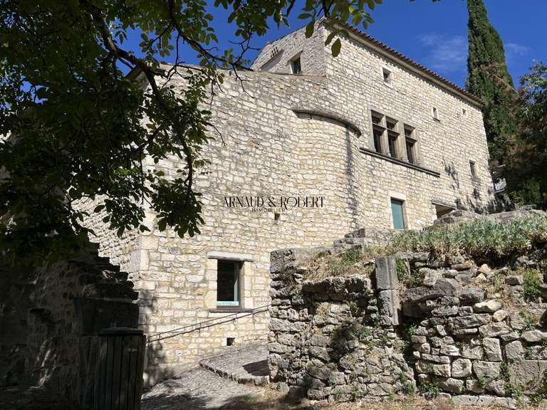 House Le Poët-Laval - 1 bedroom - 450m²