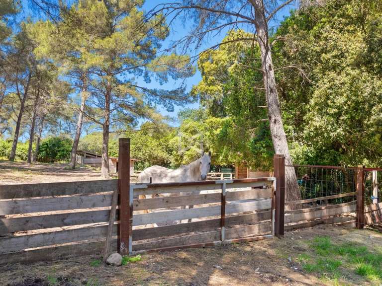 Villa Le Pradet - 7 bedrooms - 480m²