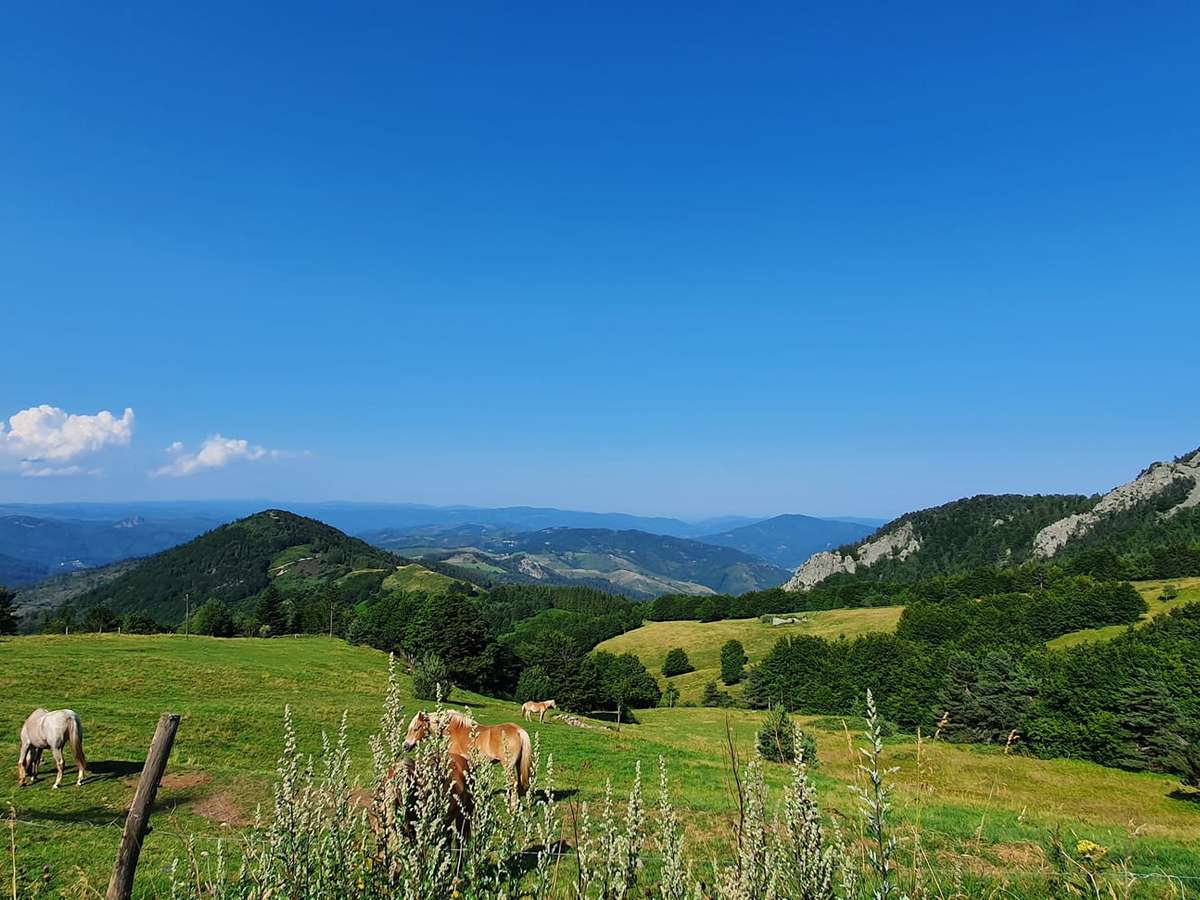 Propriété Le Puy-en-Velay
