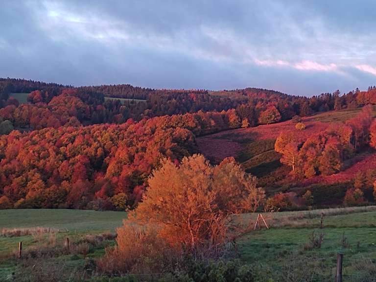 Propriété Le Puy-en-Velay - 5 chambres - 2400m²