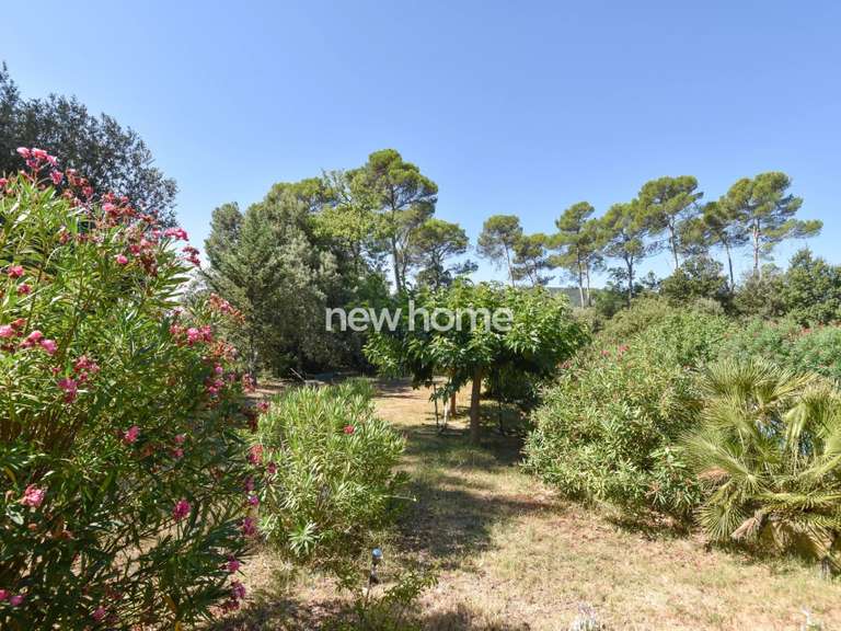 Maison Le Thoronet - 5 chambres - 264m²