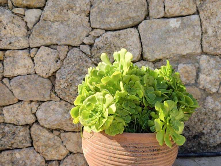 Maison Le Tignet - 3 chambres