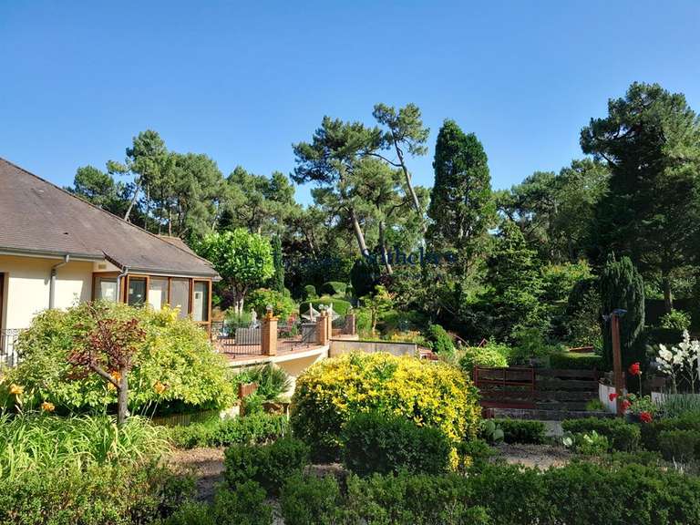 Maison Le Touquet-Paris-Plage - 4 chambres - 304m²