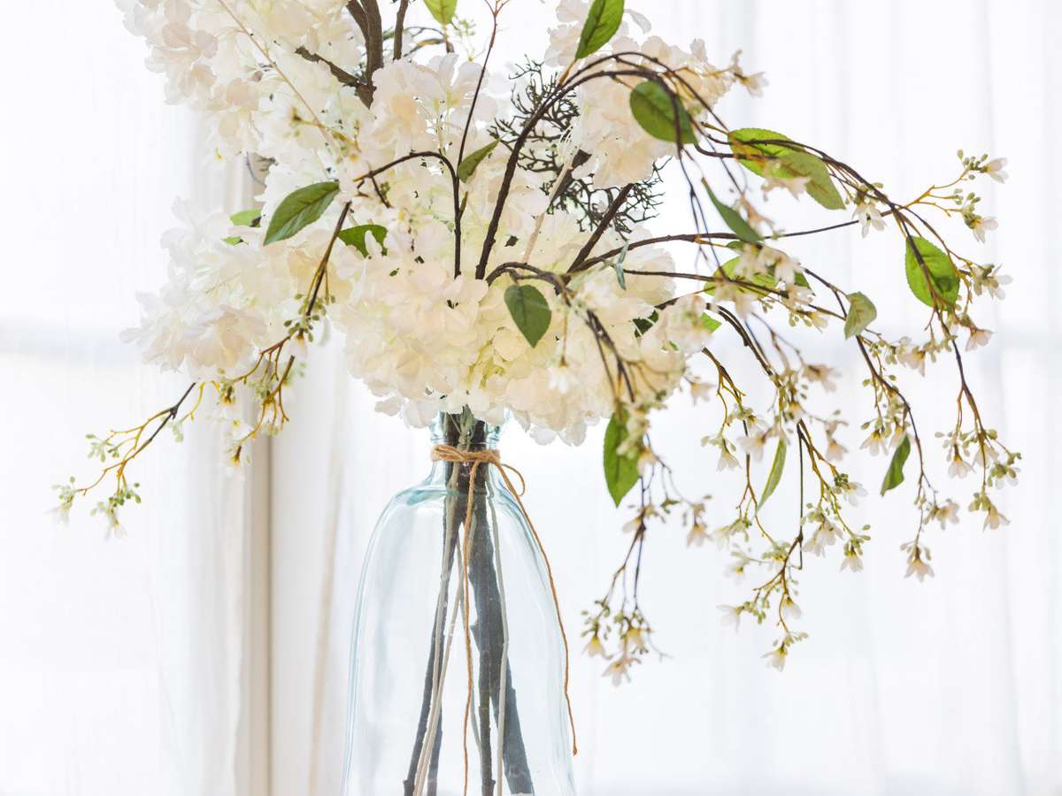 Maison Le Touquet-Paris-Plage