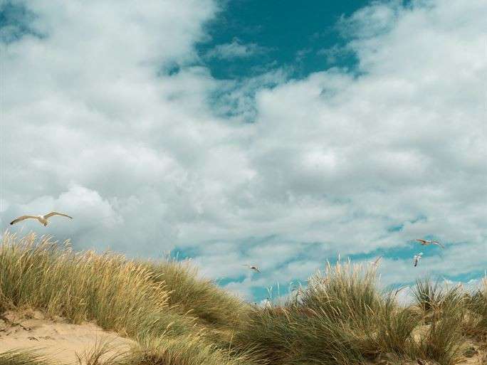 Maison Le Touquet-Paris-Plage - 2 chambres - 75m²