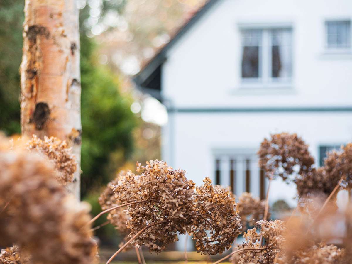 Maison Le Touquet-Paris-Plage