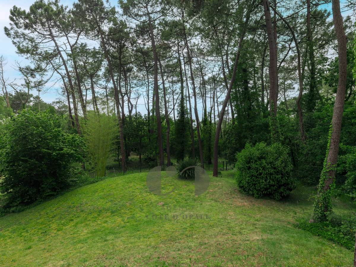 Maison Le Touquet-Paris-Plage