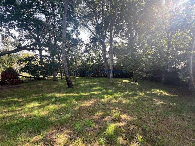 Terrain Le Touquet-Paris-Plage - 2121m²