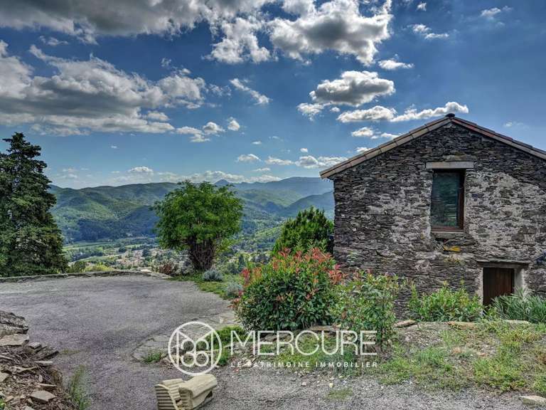 Maison Le Vigan - 9 chambres - 285m²