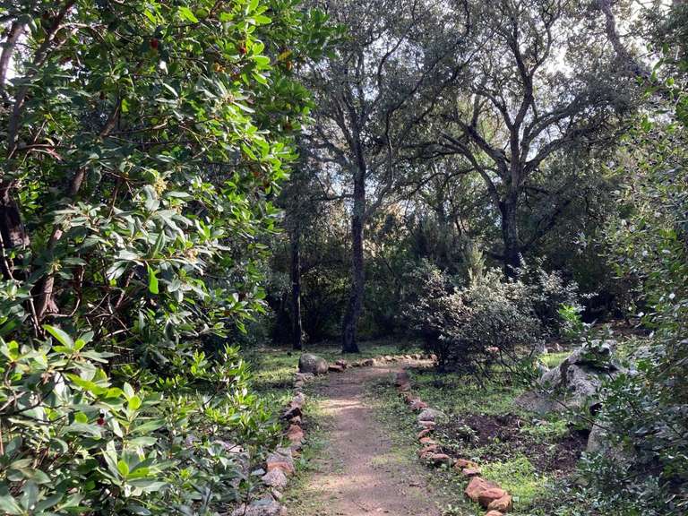 Maison Lecci - 6 chambres - 250m²