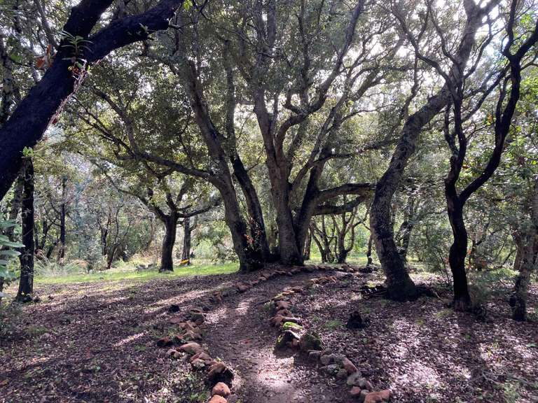 Maison Lecci - 6 chambres - 250m²