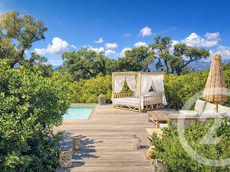 House Lecci - 4 bedrooms - 375m²