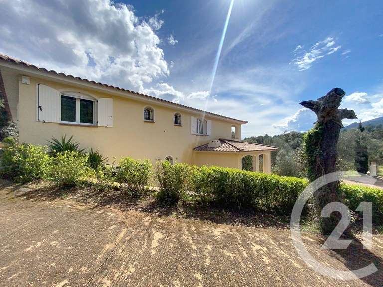 Maison Lecci - 5 chambres - 352m²