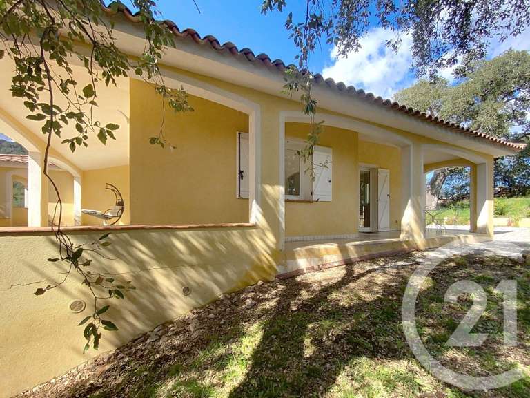 Maison Lecci - 5 chambres - 352m²