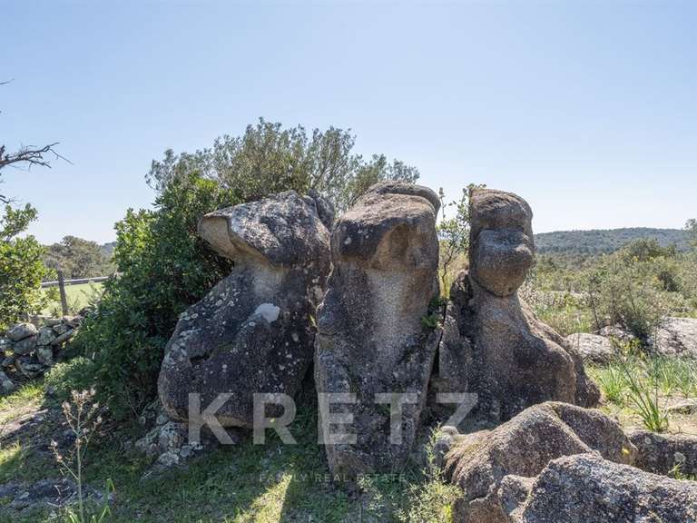 Maison avec Vue sur mer Lecci - 9 chambres - 250m²