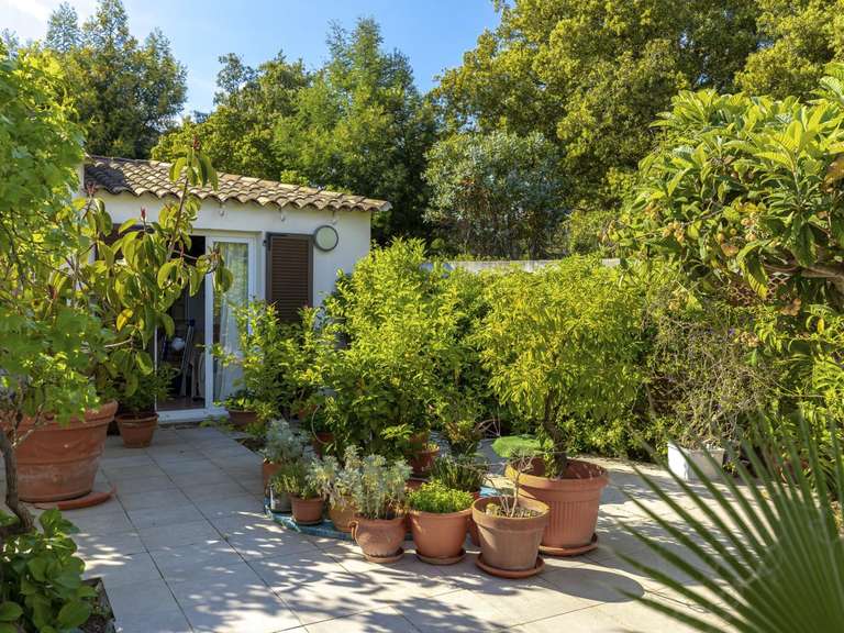 Maison avec Vue sur mer Lecci - 8 chambres - 237m²