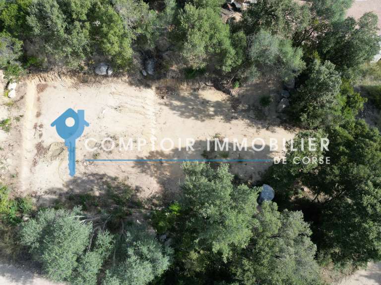 Terrain Lecci - 3488m²