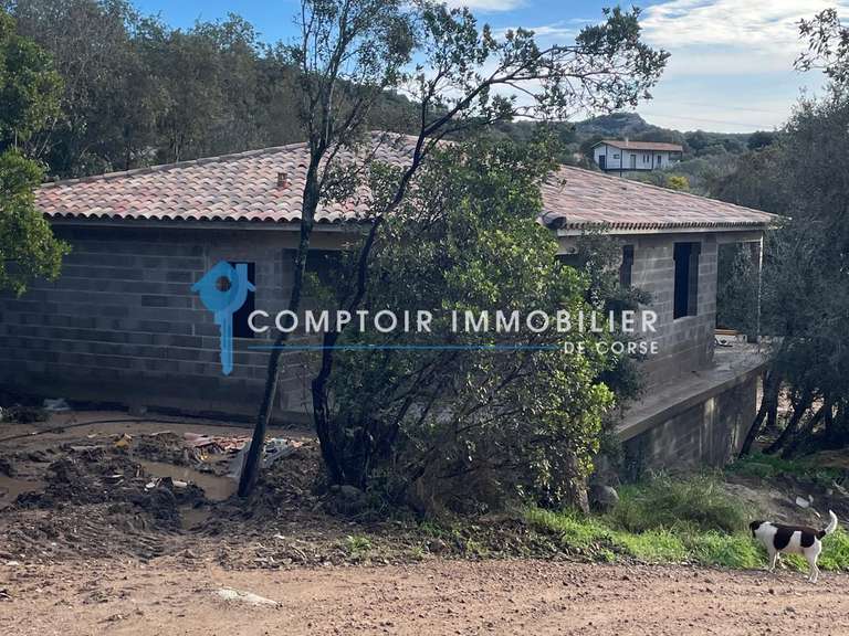 Terrain Lecci - 3488m²