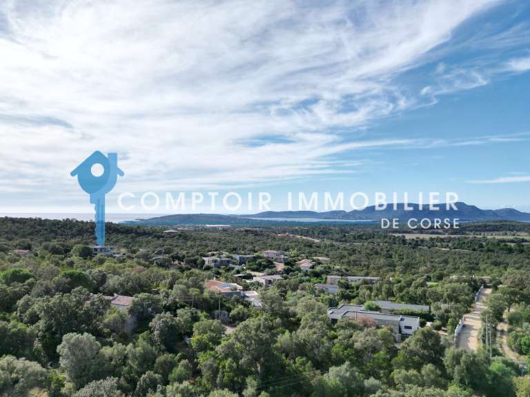 Terrain Lecci - 3488m²