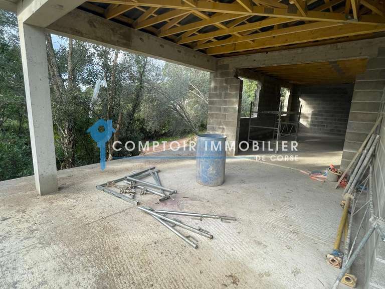 Terrain Lecci - 3488m²