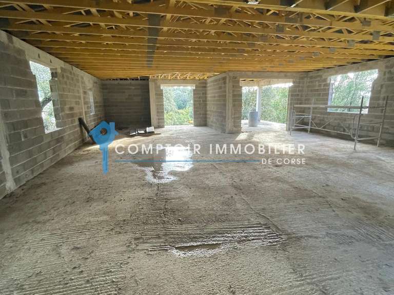 Terrain Lecci - 3488m²