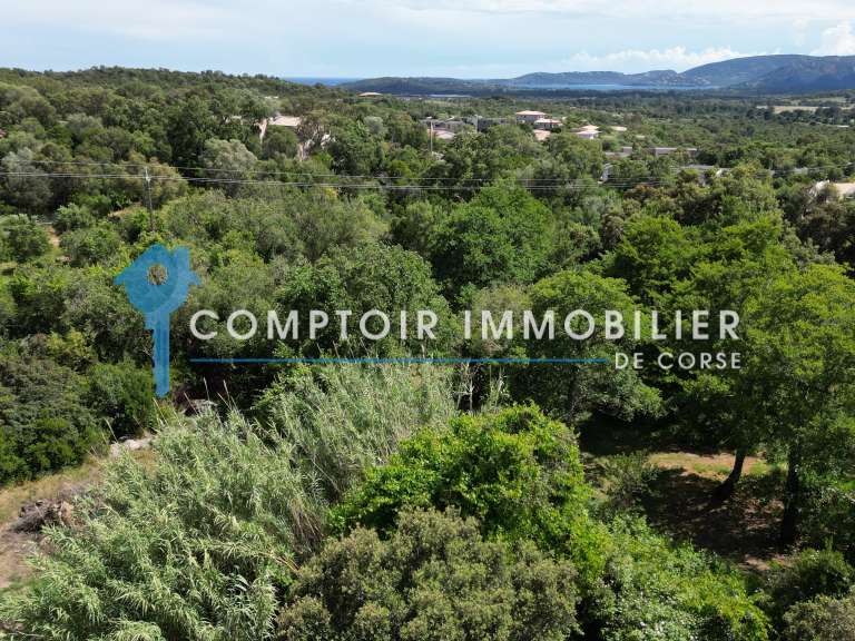 Terrain Lecci - 3488m²