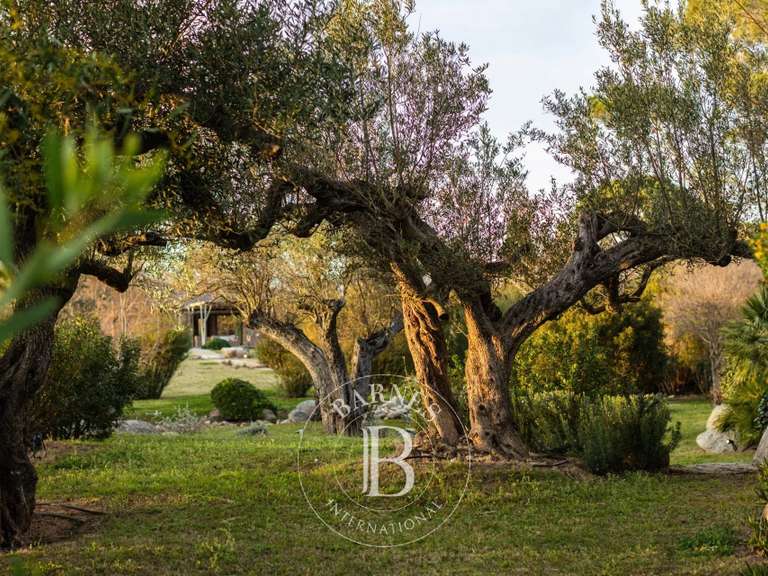 Villa Lecci - 6 chambres - 5000m²