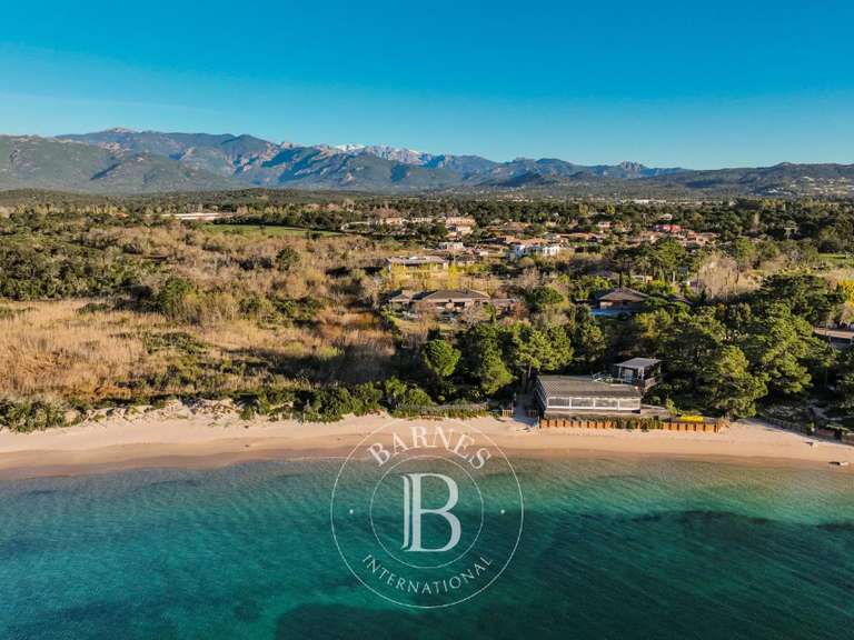 Villa Lecci - 6 chambres - 5000m²