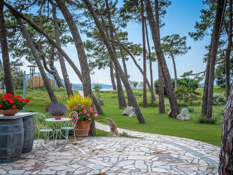 Villa Lecci - 9 chambres - 433m²