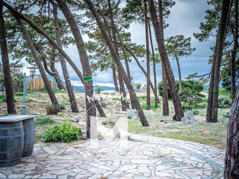 Villa Lecci - 9 chambres - 433m²