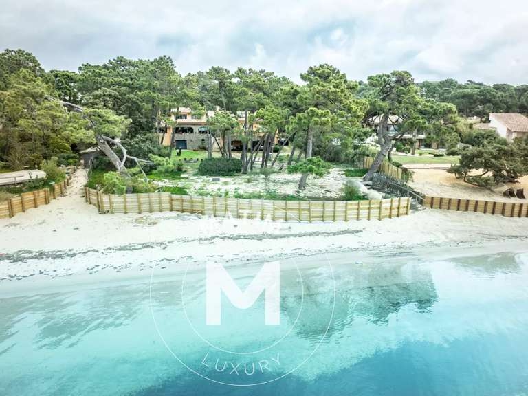 Villa Lecci - 9 chambres - 433m²