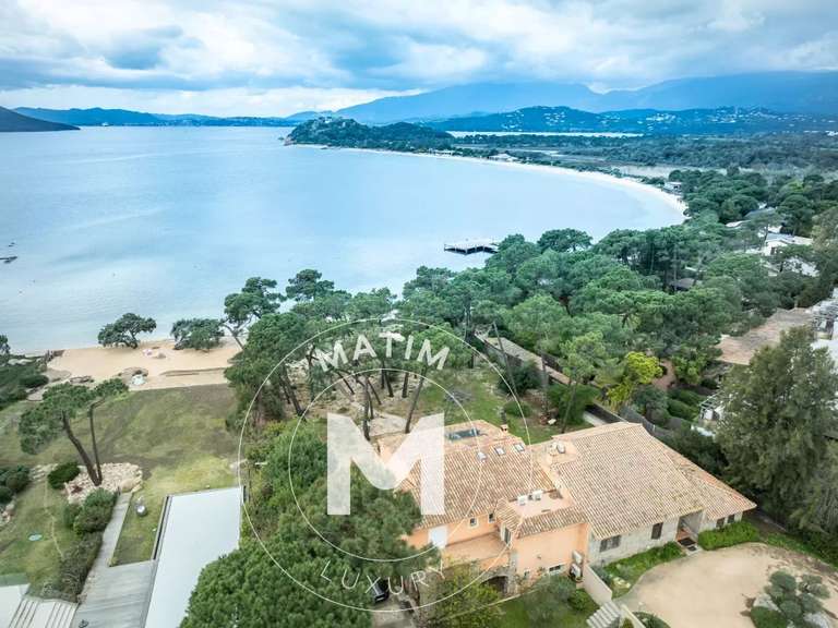 Villa Lecci - 9 chambres - 433m²