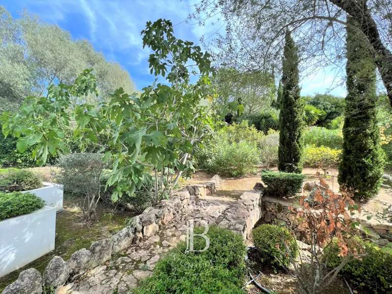 Villa Lecci - 5 chambres - 220m²