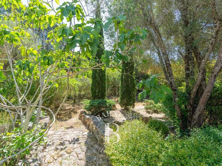 Villa Lecci - 5 chambres - 220m²